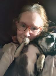 Introduction and photo of chihuahua