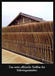 Das Erste Offizielle Treffen Der Schwiegermutter Lustige Bilder Spruche Witze Echt Lustig Gartendekoration Landschaftsdesign Garten Zaun Ideen