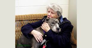 Check spelling or type a new query. Match Made In Heaven Elderly Nuns Adopt Aging Pit Bull