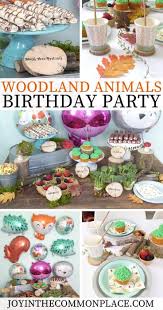 Find birthday party decorations at the 110% lowest guaranteed price. Host A Woodland Animals Birthday Party For Kids In 2020 Animal Birthday Party Woodland Animal Birthday Woodland Party Theme