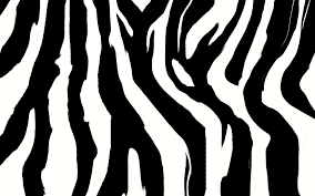 Zebra Backgrounds Hd Wallpaper Zebra Print Wallpaper Zebra Print Zebra Wallpaper
