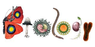 Image result for biology