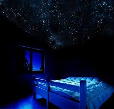 Glow In The Dark Star Art Work Stella Murals Space Themed Room Home Home Decor
