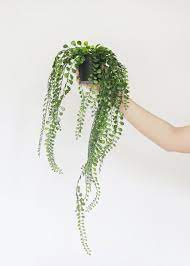 artificial hanging button fern plant in pot 24 long 2021 fake plants potted orange trailing