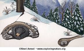 Resultado de imagen de hibernation