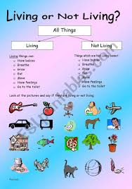 As the child discovers new things, a good science program should also. Classification Unit Of Work Elementary To Intermediate 8 Pages Editable Esl Worksheet By Ranclaude