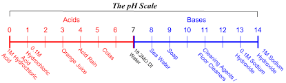 Ph Adjustment And Neutralization The Basics