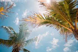 Property and house buying guide to canada. Thinking Of Florida In The Winter Owning A Property Comes With A Big Price Tag Everything Zoomer