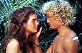 Suddenly the pictures acquired a new and alluring value; Brooke Shields Sugar N Spice Full Pictures 1976 Playboy Sugar And Spice Brooke Shields Photo 130 French Brooke Book 242 49 Picclick Searching For An Alternative To The Patriarchal Societies