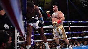 Olivier vautrain, 31 ans, a gardé sa ceinture nationale en dominant eddy lacrosse, ce vendredi. Boxe Cataclysme A New York Andy Ruiz Fait Tomber Le Champion Du Monde Des Poids Lourds Anthony Joshua