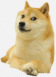The best roblox games pcgamesn. Group Icon Doge Head Group Of People Doge Roblox Head Roblox Jacket 893906 Free Icon Library
