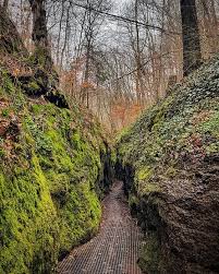 We did not find results for: Wedrowki Drachenschlucht Wartburg Konigstein Landgrafenschlucht Grosser Drachenstein Tour 176011