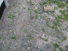 We did not find results for: What Techniques Can Be Used To Manually Sieve Stones From The Soil Efficiently Gardening Landscaping Stack Exchange