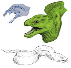 Moray Eel Sketches By Luxdani On Deviantart The sizes are important here. moray eel sketches by luxdani on