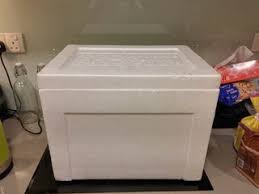 3 Styrofoam Sous Vide Salmon 5 Steps With Pictures Instructables