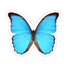 Free blue butterfly emoji icons in custom colors, png, svg, gif for web, mobile. Blue Morpho Butterfly Sticker By Jladesigns In 2021 Blue Morpho Butterfly Butterfly Sticker Morpho Butterfly