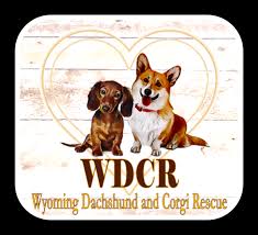 We did not find results for: Wyoming Dachshund And Corgi Rescue What We Do