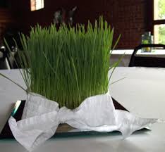 Unul dintre obiceiurile tradiţionale este punerea graului la încolţit. Cum Incoltesti Graul De Sf Andrei