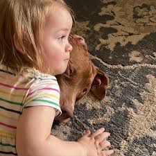 Fundraiser by Scott Carbone : A family in need of a little help