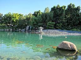 The Japanese Friendship Garden Phoenix Az Video Pictures With Images Japanese Garden Koi Pond Gardening Tips