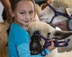 DURHAM FAIR Good. CleAn. wholesomE. Fun. 2015