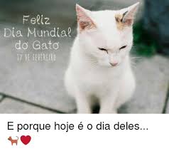 Si te gustan los gatos o, simplemente, eres de los que busca cualquier excusa para celebrar algo, sigue leyendo. Feliz Dia Mundial Do Gato E Porque Hoje E O Dia Deles Meme On Me Me
