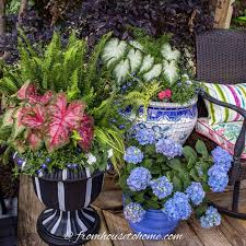 We did not find results for: July 4th Containers Patriotic Red White And Blue Flower Pot Combinations Gardening From House To Home