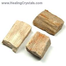 Healingcrystals Com Fossilized Wood Petrified Wood Ancient Knowledge