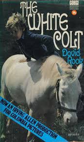 The white colt : Rook, David : Free Download, Borrow, and Streaming :  Internet Archive