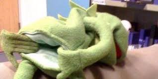 images?q=tbn:ANd9GcQZpJingz-lqPUeuzYUKc2