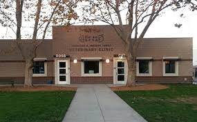Curtner pet clinic & hospital. Veterinary Clinic Full Service And Aaha Accredited East Bay Spca