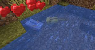 Blue axolotl in minecraft is the fifth variation of the above mentioned creature and it is certainly not an easy task to come across one. Minecraft 1 17 How To Find Axolotl And Amethyst Grow Glow Berries And Craft A Lightning Rod Hothardware