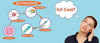 Iui Cost Pakistan What Is The Iui Cost In Pakistan 2020 Updated