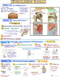 Image result for Shoulder Exam