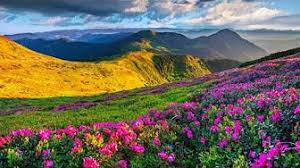 Cantari crestine pentru toate varstele, acorduri crestine pentru chitaristi si nu numai, acorduri crestine pentru chitara. Acorduri De Chitara Emil Cuc Youtube