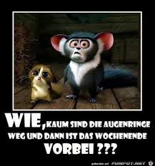 Witzige Spruche Wochenende Vorbei Witzigespruchewochenendevorbei Wochenende Spruche Vorbei W Wochenende Lustig Dienstag Bilder Lustig Wochenende Vorbei