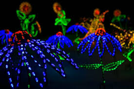 Garden Of Lights 10 Tips To Navigating 300 000 Lights Big Crowds