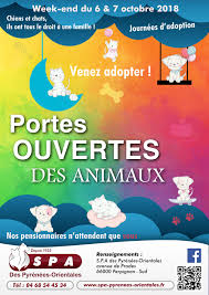 Epingle Sur Protection Animale