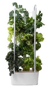 Gardyn Home Kit Hydroponics Herbs Hydroponic Growing