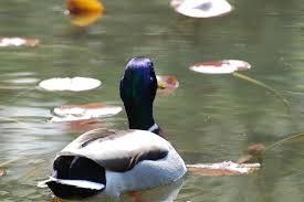 Pin On Water