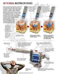 Though this works, it's not 100% safe. Infographics Tattoo Machine Tattoo Machine Learn To Tattoo Tattoo Equipment