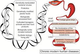 Dna that has genes from different organisms. Frontiers Potential Effects Of Horizontal Gene Exchange In The Human Gut Immunology
