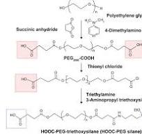 Synthetic route for HOOC-PEG silane. Abbreviation: PEG ...