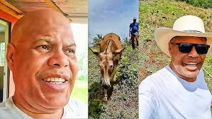 🔥CUANDO LLEGUE EL FINAL por SAL PEREZ con JUNIOR CARABALLO