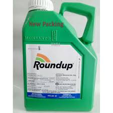 Google's free service instantly translates words, phrases, and web pages between english and over 100 other languages. Roundup Racun Rumput 4lt 2019 2021 Shopee Malaysia