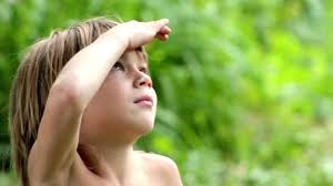 Boy looks at the sky, the boy closely watching the sky 40856787