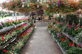 Garden Centre The Watering Can Garden Center Garden Center Displays Plant Nursery