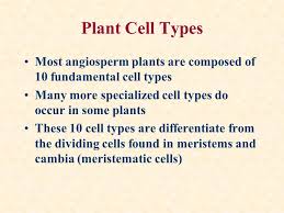 We did not find results for: Angiosperms Iii Plant Cell Types Ppt Download