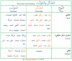 كلمة أصلها الاسم (حِدَّةٌ) في صورة جمع مؤنث سالم وجذرها (حدد) وجذعها (حدة) وتحليلها (و + حد + ات). The Gender Of Arabic Nouns Arabic Language Blog