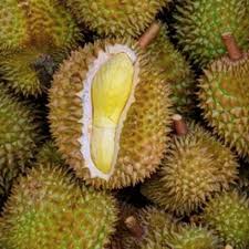 Pesta durian shah alam 2017; Pesta Durian Kendurian Di Selangor Food Mega Festival 2017 Jelajah Maya